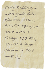 Craig Boddington with guide Kyler Hamann made a terrific 275-yard shot with a Savage .300 Mag. across a large canyon on this meat pig.