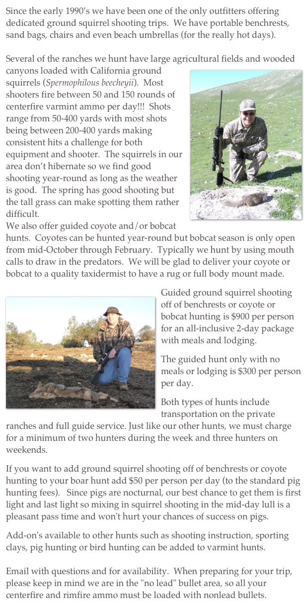 Since the early 1990’s we have been one of the only outfitters offering dedicated ground squirrel shooting trips.  We have portable benchrests, sand bags, chairs and even beach umbrellas (for the really hot days).

Several of the ranches we hunt have large agricultural fields and wooded￼ canyons loaded with California ground squirrels (Spermophilous beecheyii).  Most shooters fire between 50 and 150 rounds of centerfire varmint ammo per day!!!  Shots range from 50-400 yards with most shots being between 200-400 yards making consistent hits a challenge for both equipment and shooter.  The squirrels in our area don’t hibernate so we find good shooting year-round as long as the weather is good.  The spring has good shooting but the tall grass can make spotting them rather difficult.
We also offer guided coyote and/or bobcat hunts.  Coyotes can be hunted year-round but bobcat season is only open from mid-October through February.  Typically we hunt by using mouth calls to draw in the predators.  We will be glad to deliver your coyote or bobcat to a quality taxidermist to have a rug or full body mount made.
Guided ground squirrel shooting off of benchrests or coyote or bobcat ￼hunting is $900 per person for an all-inclusive 2-day package with meals and lodging.
The guided hunt only with no meals or lodging is $300 per person per day.
Both types of hunts include transportation on the private ranches and full guide service. Just like our other hunts, we must charge for a minimum of two hunters during the week and three hunters on weekends.
If you want to add ground squirrel shooting off of benchrests or coyote hunting to your boar hunt add $50 per person per day (to the standard pig hunting fees).   Since pigs are nocturnal, our best chance to get them is first light and last light so mixing in squirrel shooting in the mid-day lull is a pleasant pass time and won't hurt your chances of success on pigs.
Add-on's available to other hunts such as shooting instruction, sporting clays, pig hunting or bird hunting can be added to varmint hunts.
 
Email with questions and for availability.  When preparing for your trip, please keep in mind we are in the "no lead" bullet area, so all your centerfire and rimfire ammo must be loaded with nonlead bullets.